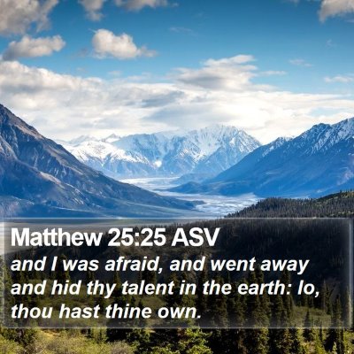 Matthew 25:25 ASV Bible Verse Image
