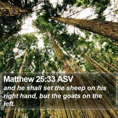 Matthew 25:33 ASV Bible Verse Image