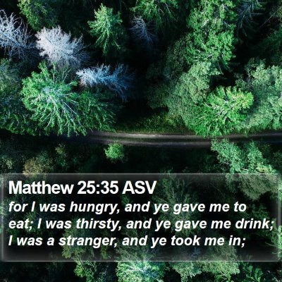 Matthew 25:35 ASV Bible Verse Image