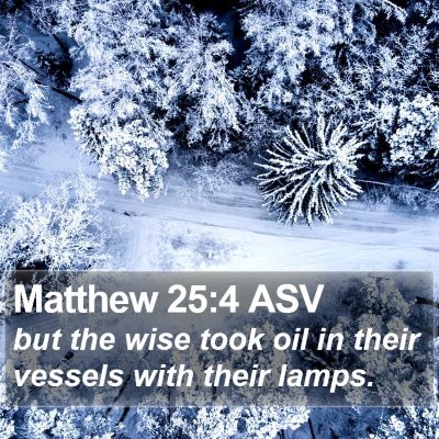 Matthew 25:4 ASV Bible Verse Image