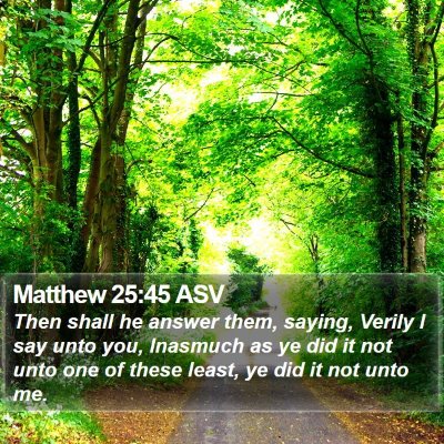 Matthew 25:45 ASV Bible Verse Image