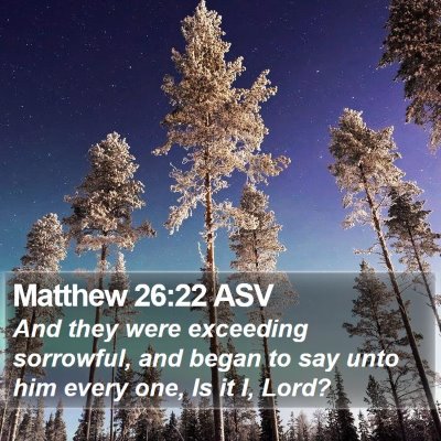 Matthew 26:22 ASV Bible Verse Image