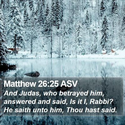 Matthew 26:25 ASV Bible Verse Image