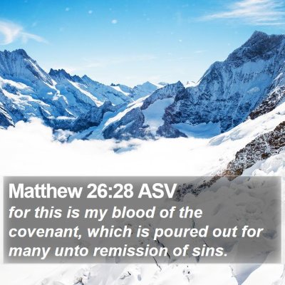 Matthew 26:28 ASV Bible Verse Image