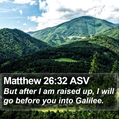 Matthew 26:32 ASV Bible Verse Image