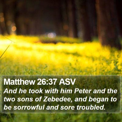 Matthew 26:37 ASV Bible Verse Image