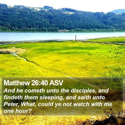 Matthew 26:40 ASV Bible Verse Image
