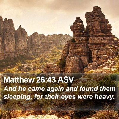 Matthew 26:43 ASV Bible Verse Image