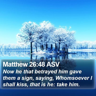 Matthew 26:48 ASV Bible Verse Image