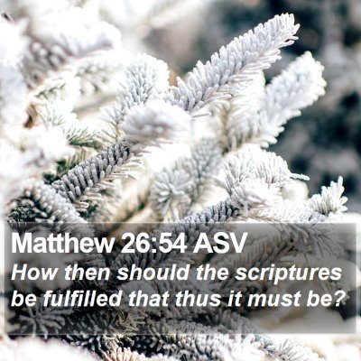 Matthew 26:54 ASV Bible Verse Image