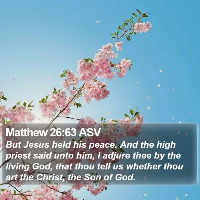 Matthew 26:63 ASV Bible Verse Image