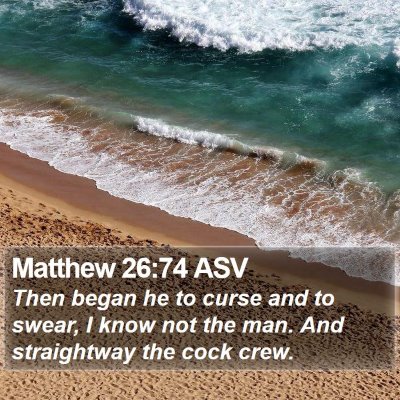 Matthew 26:74 ASV Bible Verse Image