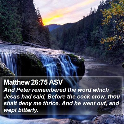 Matthew 26:75 ASV Bible Verse Image