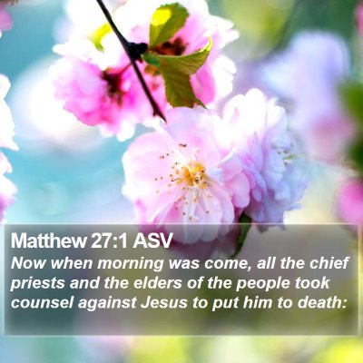 Matthew 27:1 ASV Bible Verse Image