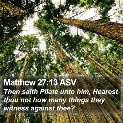 Matthew 27:13 ASV Bible Verse Image