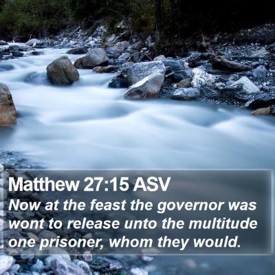 Matthew 27:15 ASV Bible Verse Image