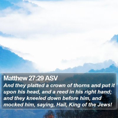 Matthew 27:29 ASV Bible Verse Image