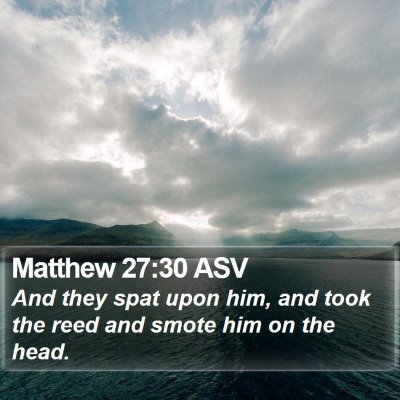 Matthew 27:30 ASV Bible Verse Image