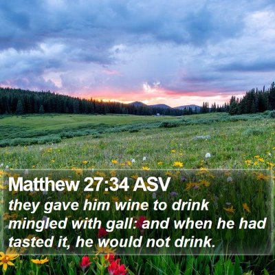 Matthew 27:34 ASV Bible Verse Image
