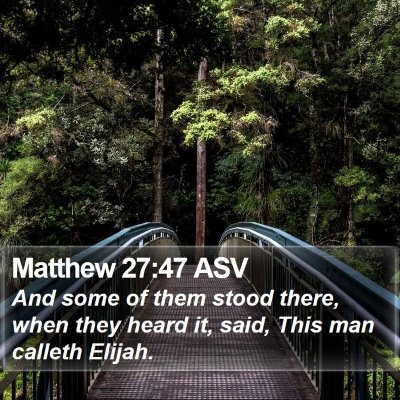 Matthew 27:47 ASV Bible Verse Image