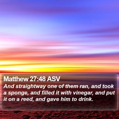 Matthew 27:48 ASV Bible Verse Image