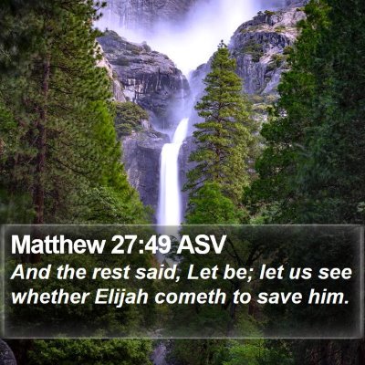 Matthew 27:49 ASV Bible Verse Image