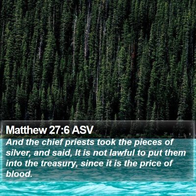 Matthew 27:6 ASV Bible Verse Image