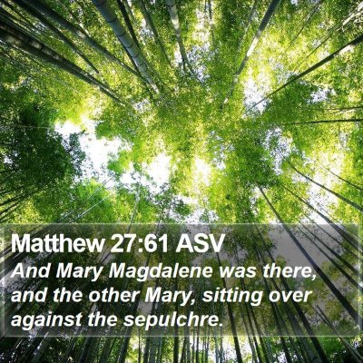 Matthew 27:61 ASV Bible Verse Image