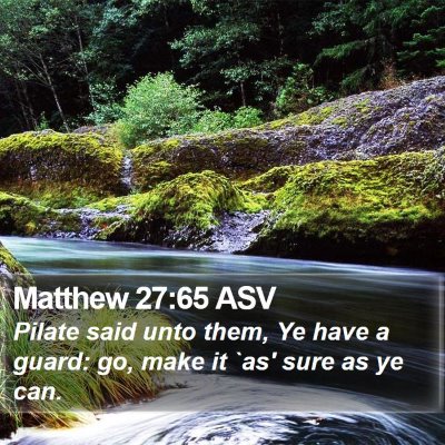 Matthew 27:65 ASV Bible Verse Image