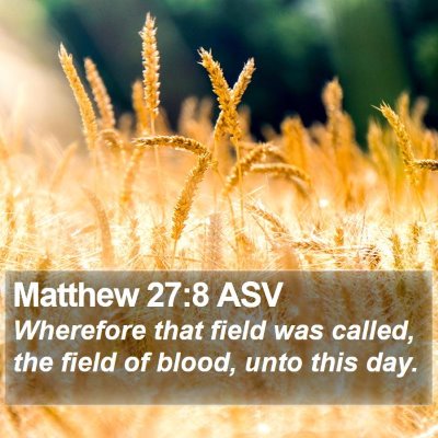 Matthew 27:8 ASV Bible Verse Image