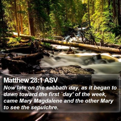 Matthew 28:1 ASV Bible Verse Image