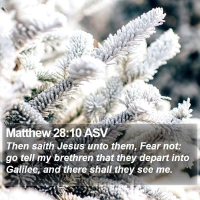 Matthew 28:10 ASV Bible Verse Image