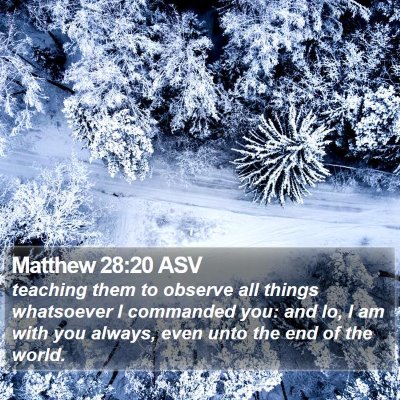 Matthew 28:20 ASV Bible Verse Image