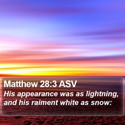 Matthew 28:3 ASV Bible Verse Image