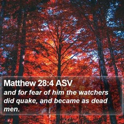 Matthew 28:4 ASV Bible Verse Image