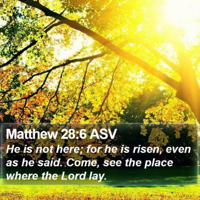 Matthew 28:6 ASV Bible Verse Image