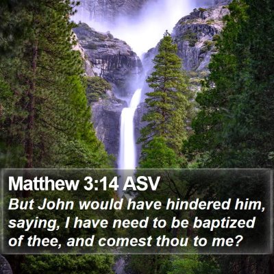 Matthew 3:14 ASV Bible Verse Image