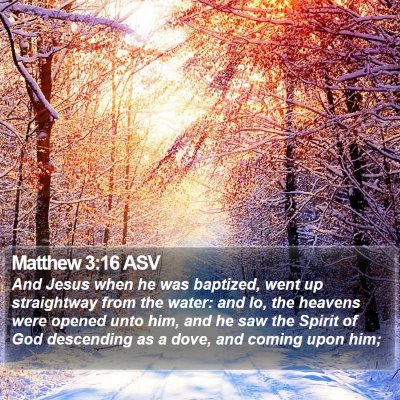 Matthew 3:16 ASV Bible Verse Image