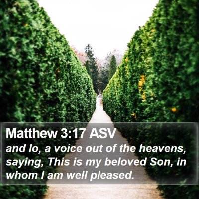 Matthew 3:17 ASV Bible Verse Image