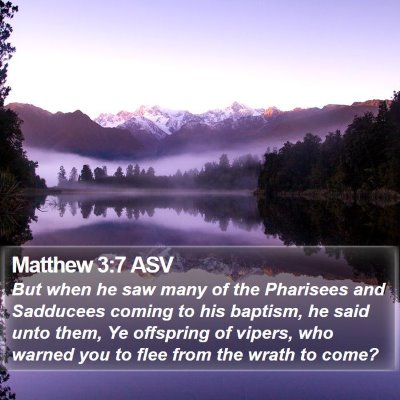 Matthew 3:7 ASV Bible Verse Image
