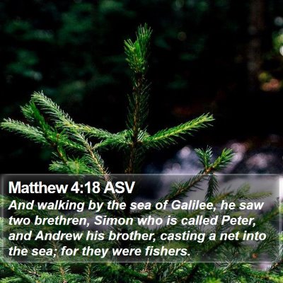 Matthew 4:18 ASV Bible Verse Image