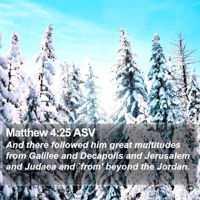 Matthew 4:25 ASV Bible Verse Image