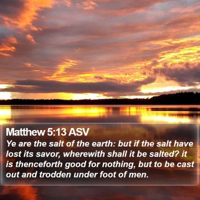 Matthew 5:13 ASV Bible Verse Image
