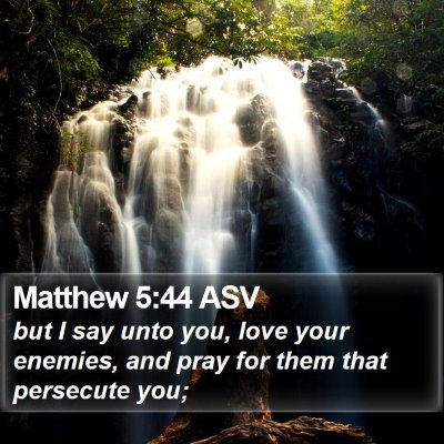 Matthew 5:44 ASV Bible Verse Image