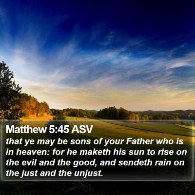 Matthew 5:45 ASV Bible Verse Image