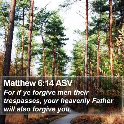 Matthew 6:14 ASV Bible Verse Image