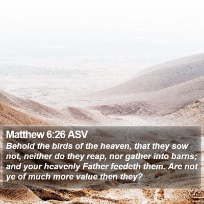 Matthew 6:26 ASV Bible Verse Image