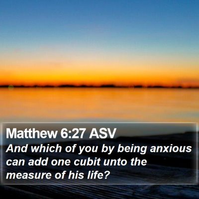 Matthew 6:27 ASV Bible Verse Image
