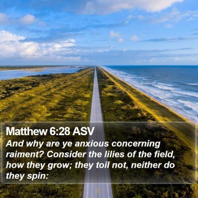 Matthew 6:28 ASV Bible Verse Image