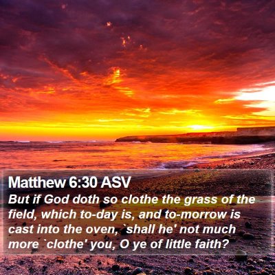 Matthew 6:30 ASV Bible Verse Image